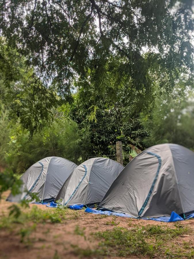 Travellers Tribe By Livelehood Habitat Hostel Auroville Kültér fotó