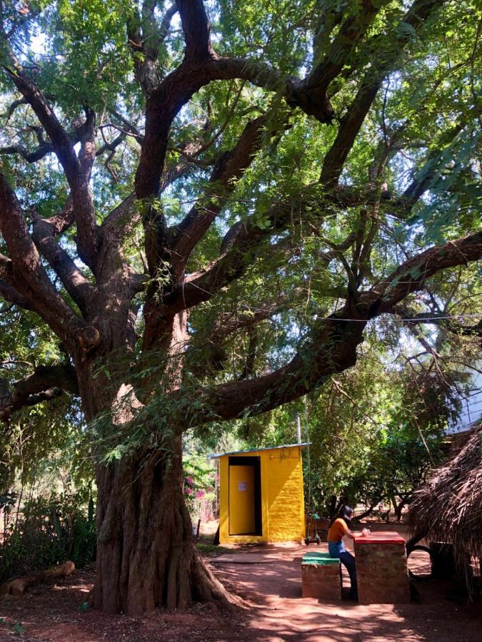 Travellers Tribe By Livelehood Habitat Hostel Auroville Kültér fotó