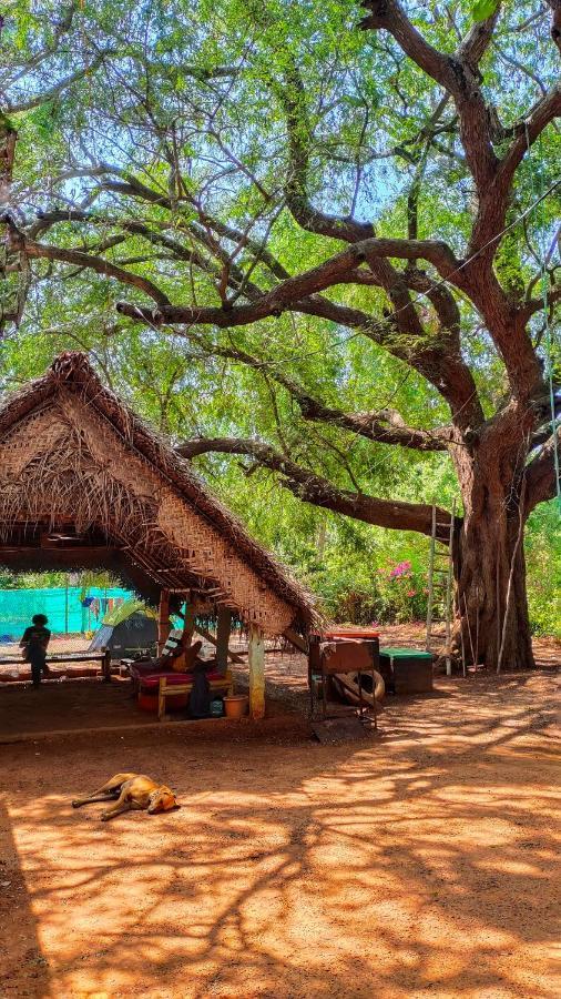 Travellers Tribe By Livelehood Habitat Hostel Auroville Kültér fotó